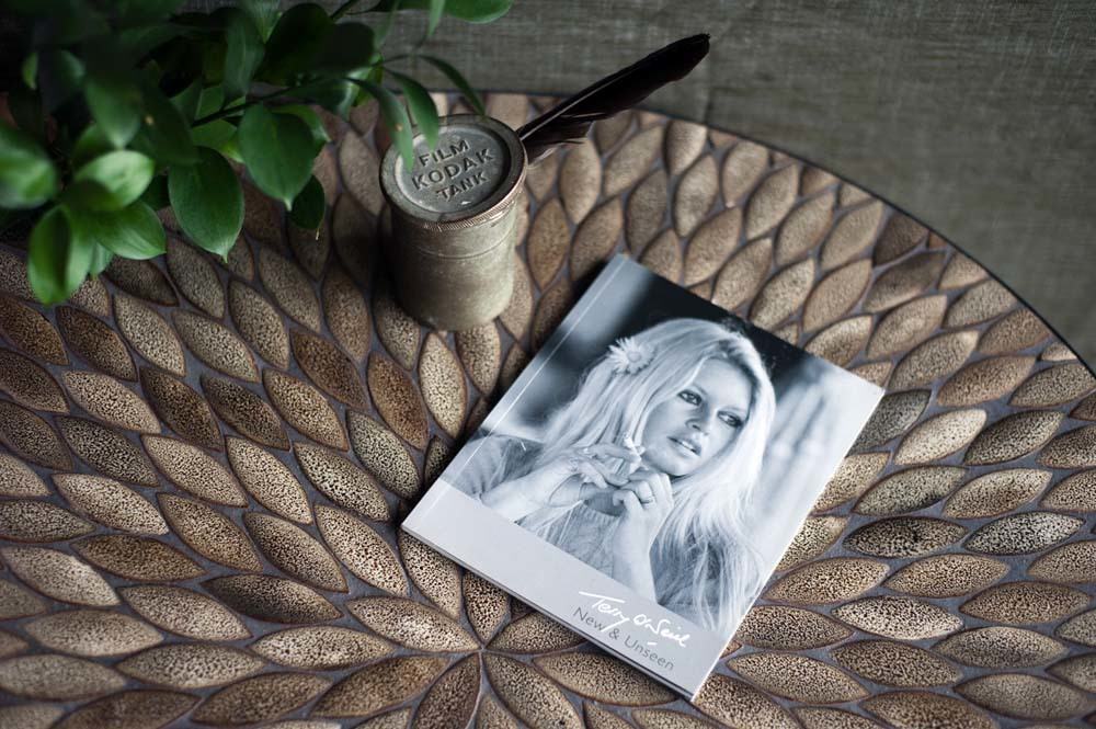 Brigitte Bardot sur table mosaique mobilier disponible au Vietnam