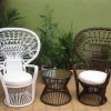 Peacock armchairs rattan