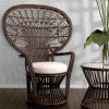 Peacock chair | Rattan Ecological natural fiber furniture