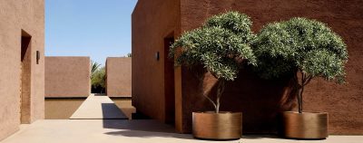Vases, pots and planters